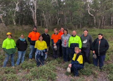 Upper Dingo Swamp Internship Project at Lithgow NSW