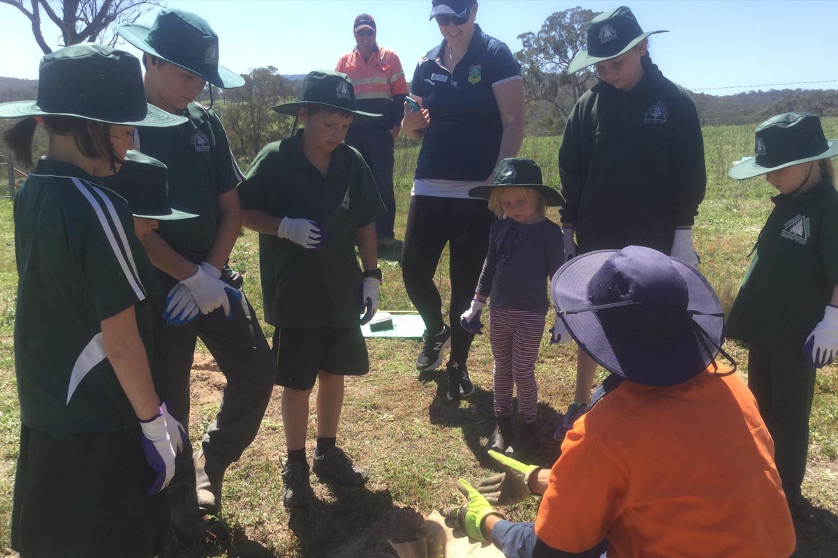 Hampton students enhance the natural habitats of vulnerable species